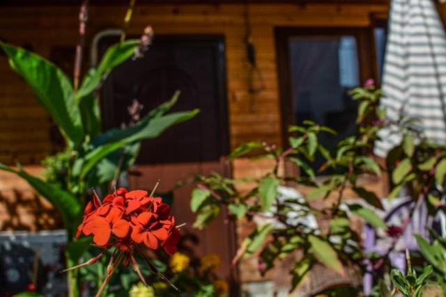 Backyard Apartment Ohrid Exterior foto
